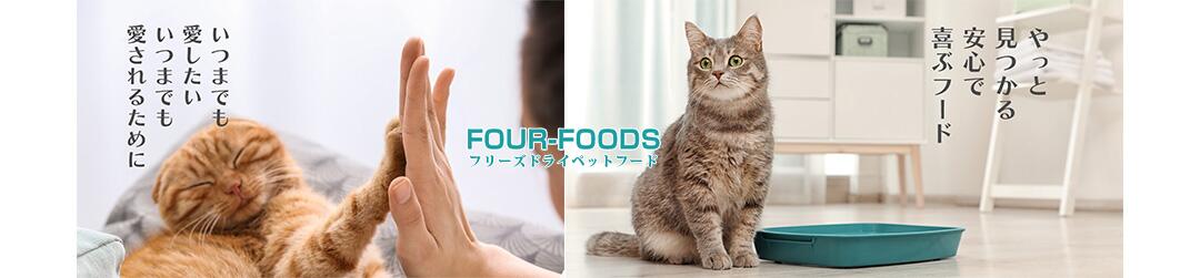 FOUR-FOODS եաźʪ¸ʤե꡼ɥ饤ùȹ񻺤ߤΥåȥա