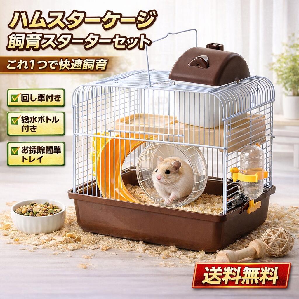 楽天市場】【半額&5%OFFクーポン配布4日20時〜 利用条件あり