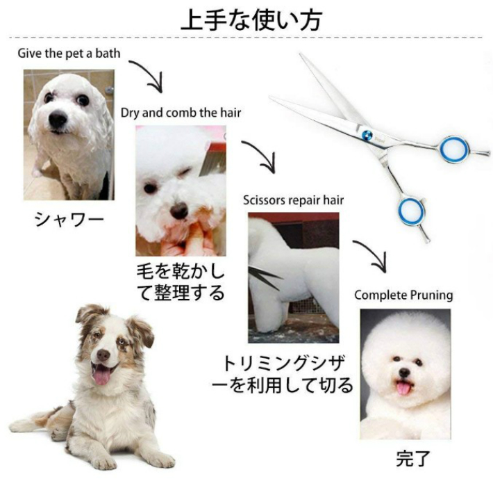 全体に 息切れ ラリー 犬 カット 自宅 Daijisin Taiou Com