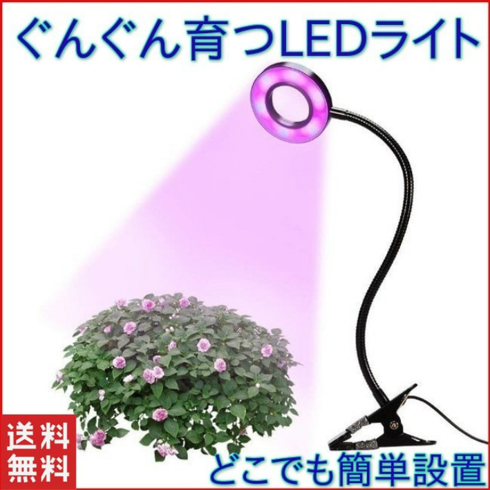 確かな ぐるぐる 理論的 植物 光合成 ライト Businesshotelmatsusaka Jp