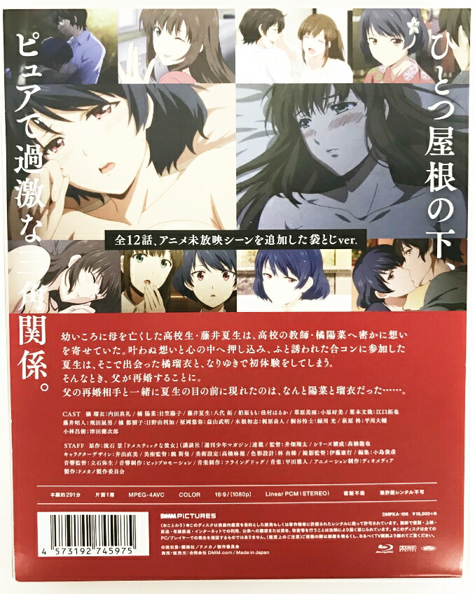 ドメスティックな彼女 Blu Ray Box 袋とじver 中古 アニメbd 鈴鹿 併売品 011 07bs Aplusfinance Blog Com