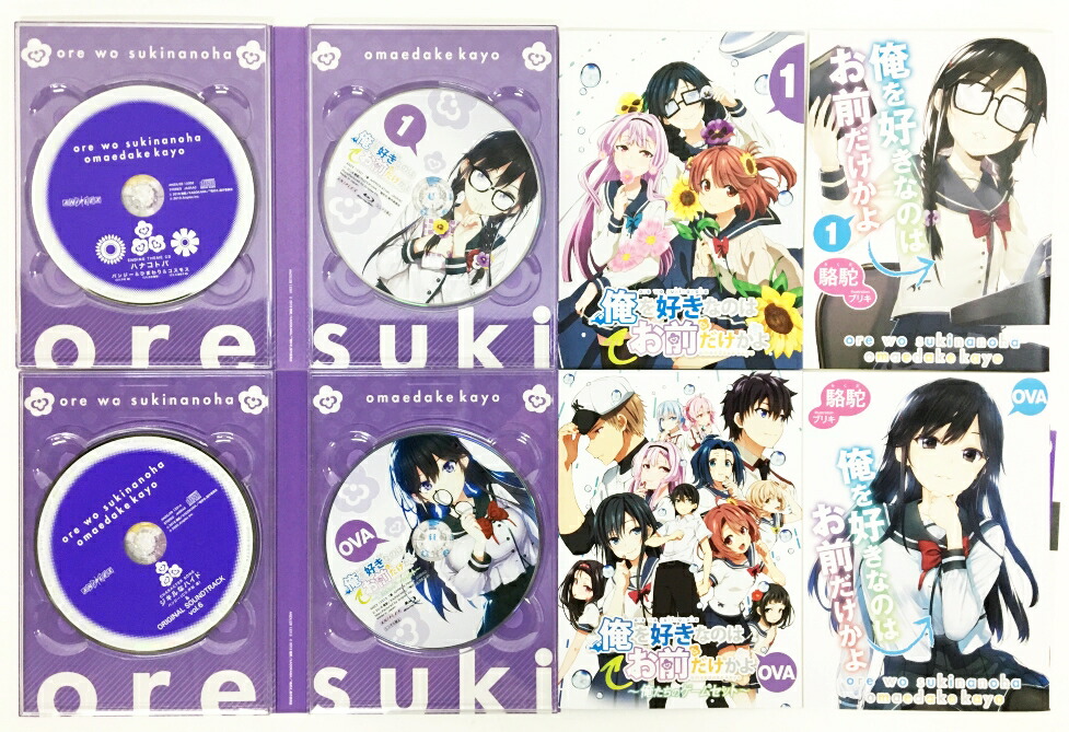 注目の 俺を好きなのはお前だけかよ Blu-ray全6巻&OVAセット - アニメ
