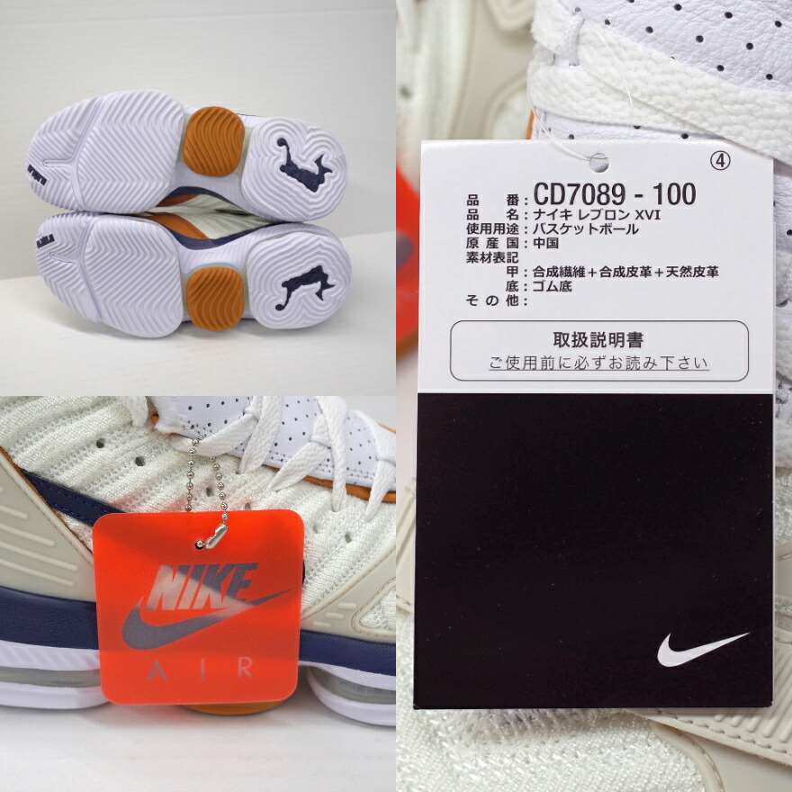 lebron xvi air trainer