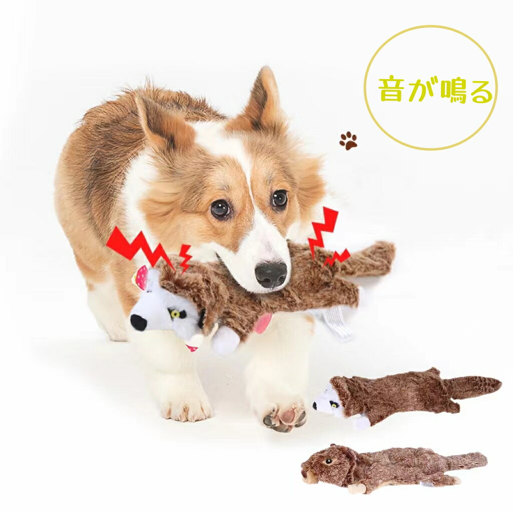 なぜ犬は音の出るおもちゃが好きなのでしょうか？