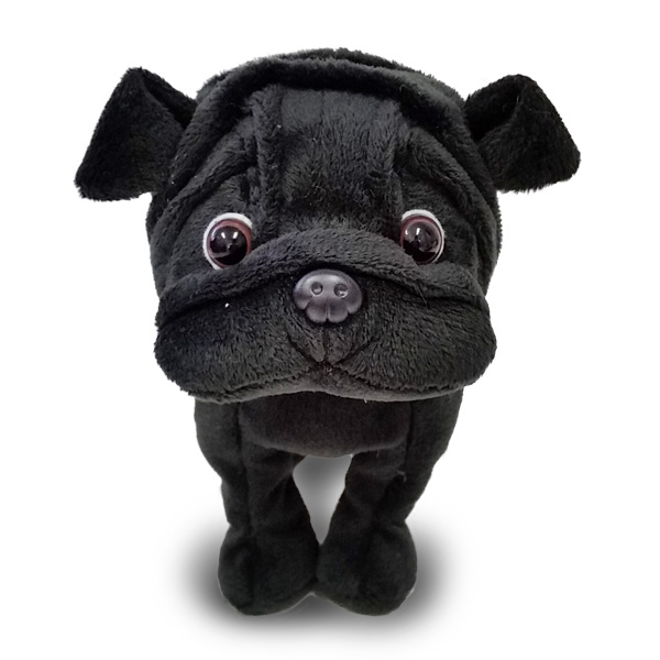 black pug teddy