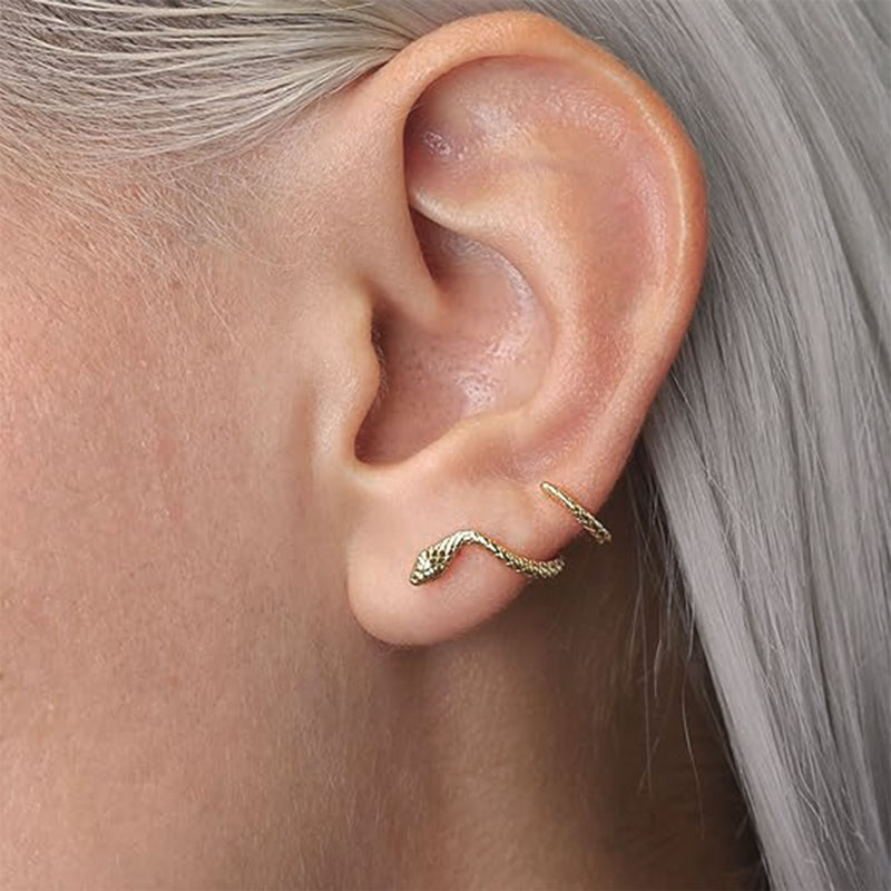 楽天市場】片耳 ピアス 蛇 レディース スネーク 爬虫類 ヘビ 可愛い