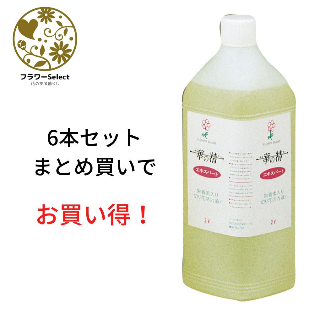 生け花ふん捕まえる推しすすめる剤 華の精 老練家 2L 6個書き割り 167-2061-0 花 お花 花原材料 お花原材料 延命剤 切り花栄養剤 時めく推しすすめる 5％OFF ヴィタミン
