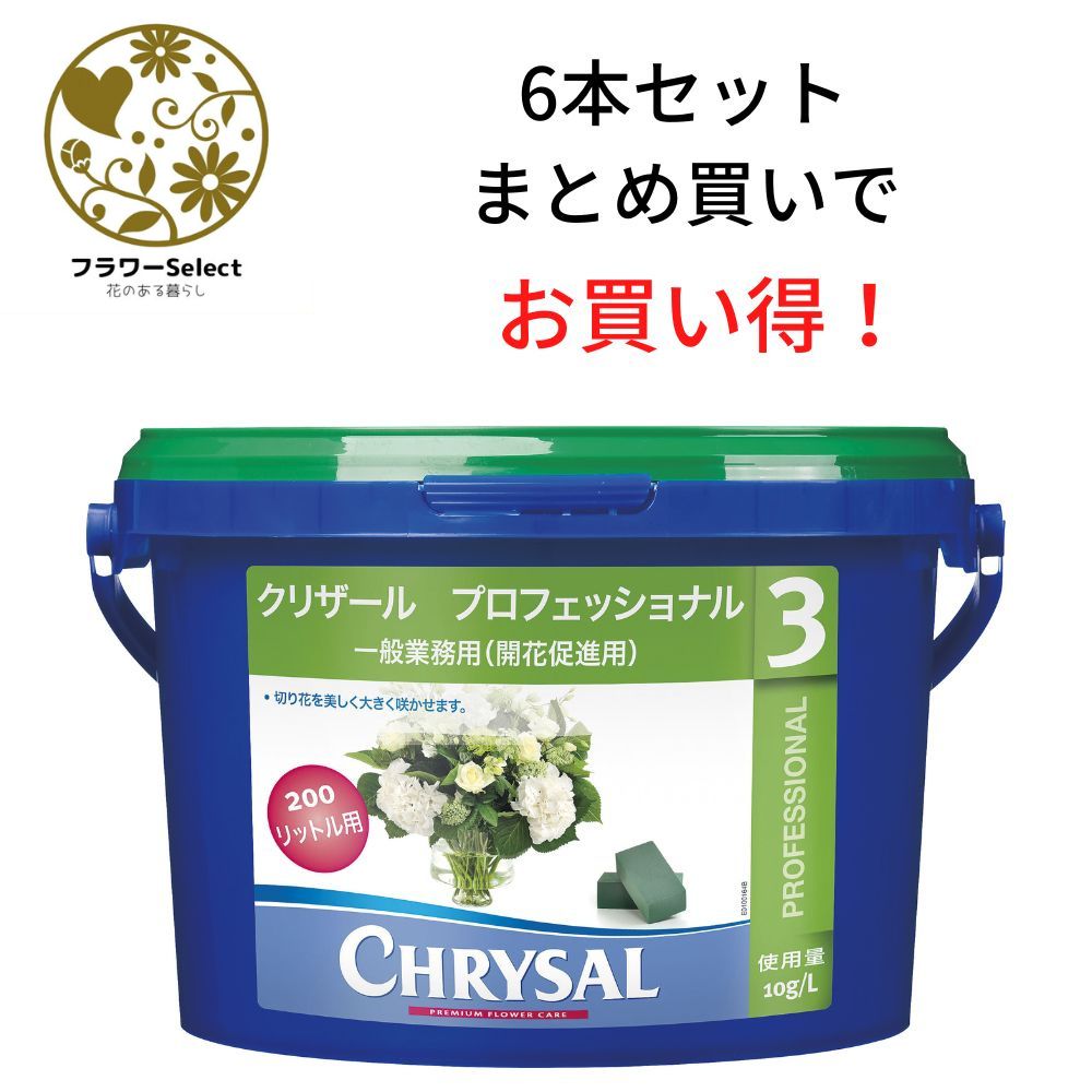 生け花ふん捕まえる推しすすめる剤 クリザール 専門的 火薬2kg 6個書き割り 167-3019-0 花 お花 花原材料 お花原材料 延命剤 切り花栄養剤 時めく推しすすめる 5％OFF ヴィタミン
