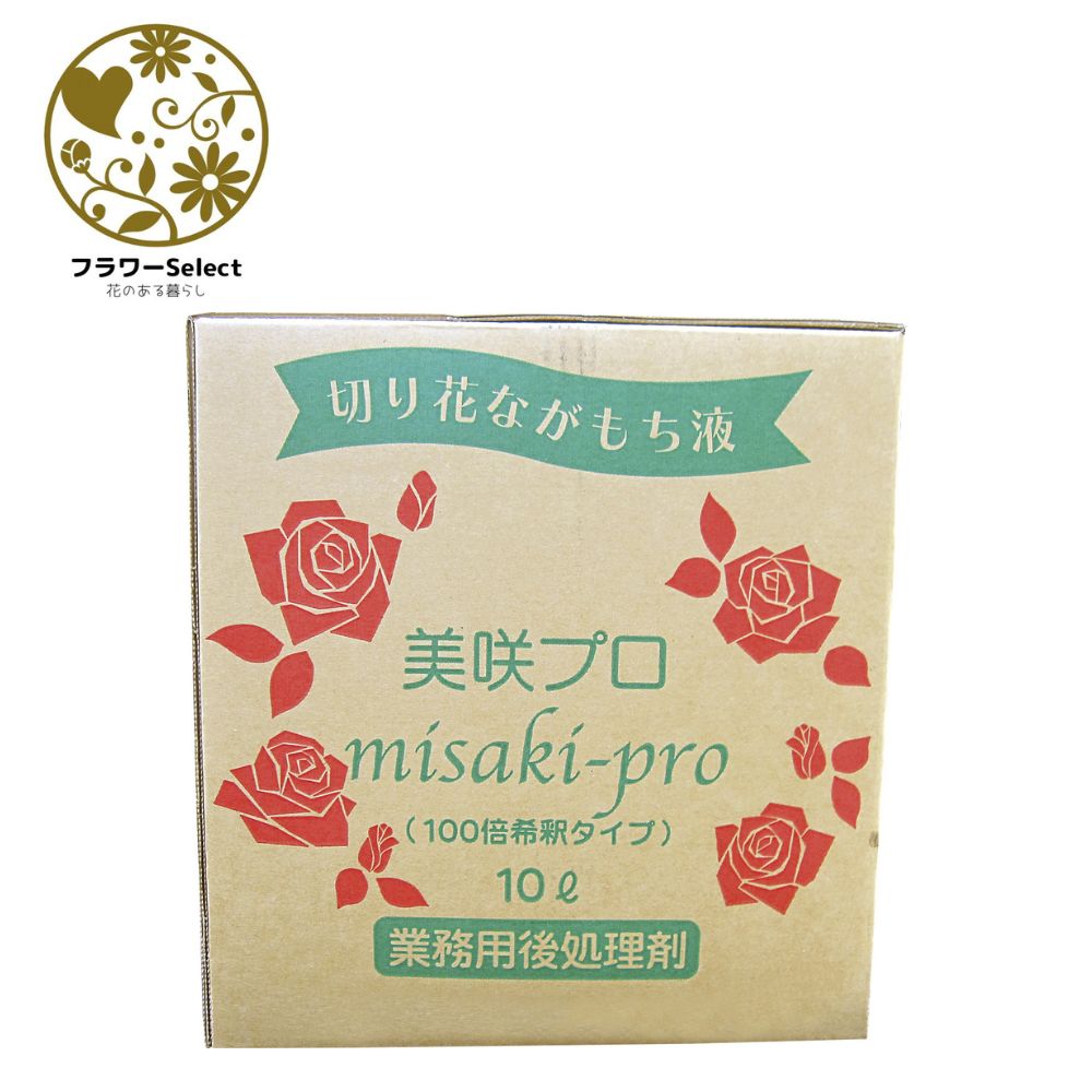 生け花とっ捕まえる推しすすめる剤 美咲労働者階級 御役目用 10L 薄める100倍 167-7112-0 花 お花 花原材料 お花原材料 延命剤 切り花栄養剤 華めく推しすすめる ヴィタミンF