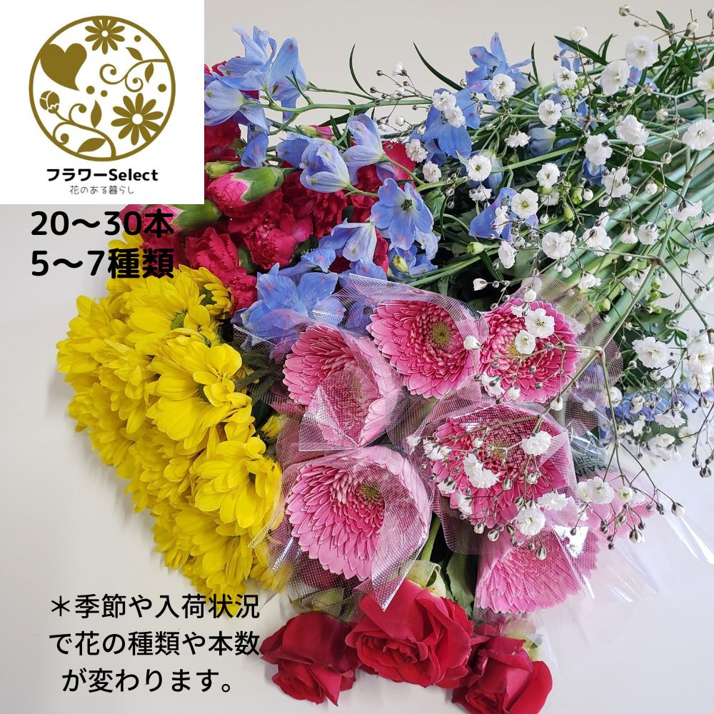 楽天市場】今週の切り花セット お任せ 20〜30本 5〜7種類 生花 大特価