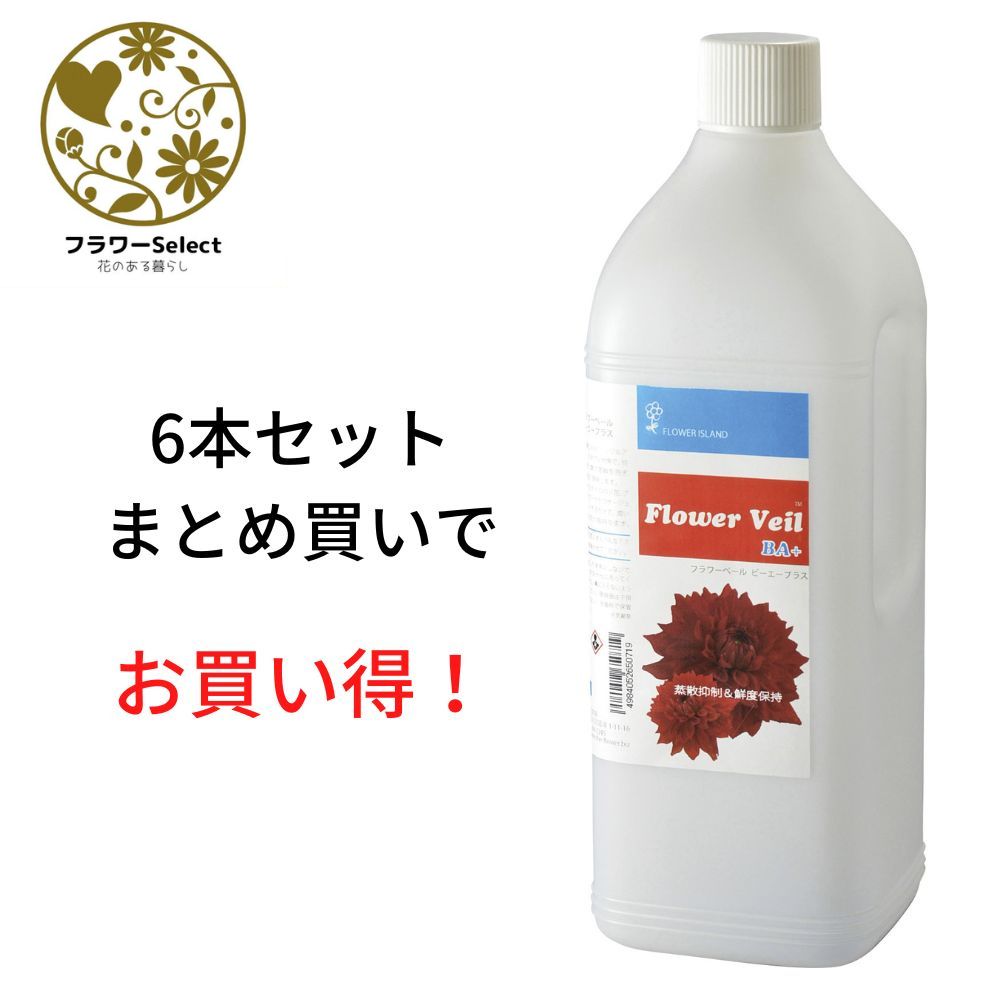 生け花ふん捕まえる推しすすめる剤 お花頭を覆う物BA+ 2L 6個書き割り 167-2025-0 花 お花 花原材料 お花原材料 延命剤 切り花栄養剤 時めく推しすすめる 5％OFF ヴィタミン