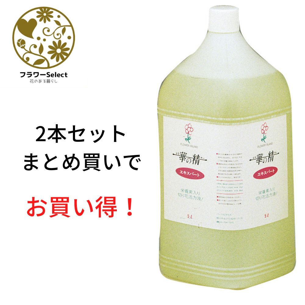 生け花ふん捕まえる推しすすめる剤 華の精 老練家 5L 2個書き割り 167-2062-0 花 お花 花原材料 お花原材料 延命剤 切り花栄養剤 時めく推しすすめる 5％OFF ヴィタミン