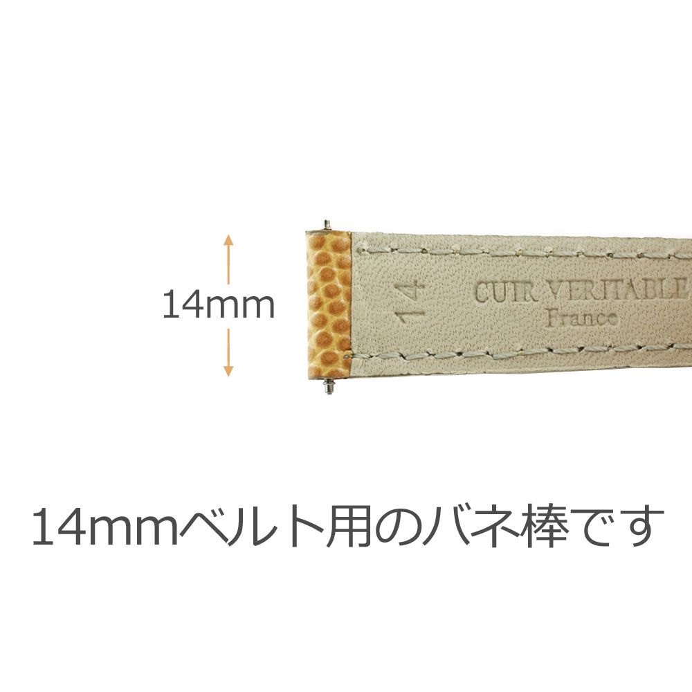 激安格安割引情報満載 時計用 ベルト用部品 ばね棒 バネ棒 2本セット 14mmベルト用 pakhuis1920.nl