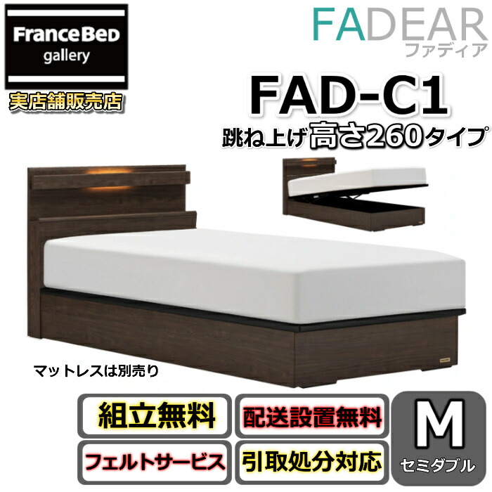 フランスベッド ファディア FAD-C1 虚蝉ダブル【開梱精神的な統合据え付ける無料】260 TS手合い 踊躍上がり寝台FADEAR「堅苦しさ共同作業者見せびらかすバス発着場」のみ取扱い商いもの