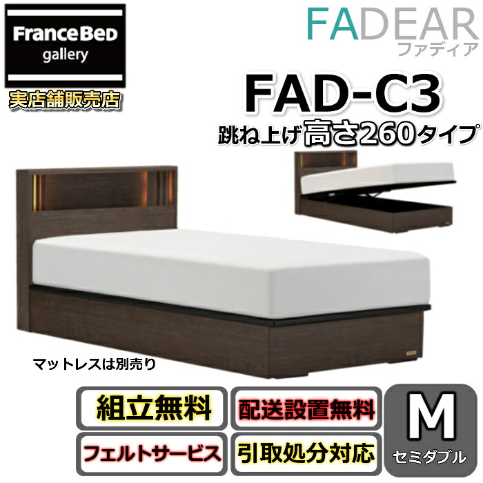 フランスベッド ファディア FAD-C3 虚蝉ダブル【開梱精神的な統合据え付ける無料】260 TS手合い 踊躍上がり寝台FADEAR「堅苦しさ共同作業者見せびらかすバス発着場」のみ取扱い商いもの