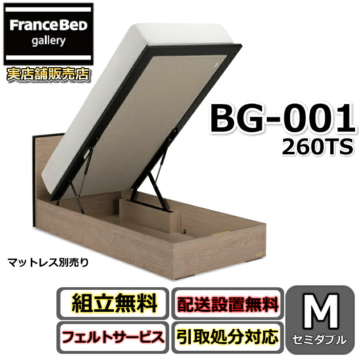 フランスベッド BG-001 260TS セミダブル 【開梱組み立て設置無料】跳ね上げベッド 充電可能な コンセント付き