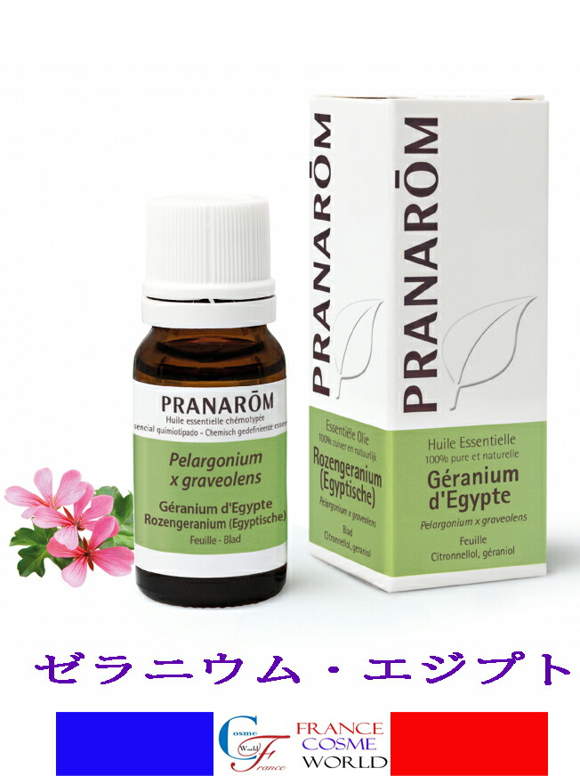 Renkaさま【お徳用】PRANAROM ユーカリラディアタ BIO 30ml ユーカリ・ラディアタ – プラナロム エッセンシャルオイル・精油