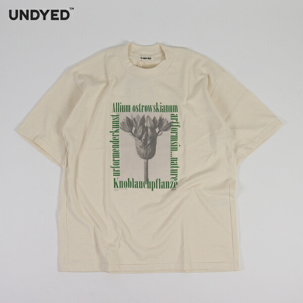 20%OFFクーポン券客体 / アンダイド UNDYED / 長い巻き毛・ブロスフェルト 刷り上げるプルオーバー 30/2 Karl Blossfeldt Pt-T / ALLIUM / 26S348C / 半袖 美術T 無染め付ける サステナブル メンズ レディース ユニ一発やる / 日本製 / 2026春夏 / ネコポス送りとどける