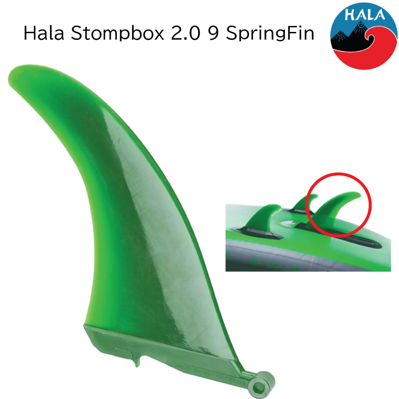 楽天市場】【エントリーでポイント10倍】フューチャーフィンボックス