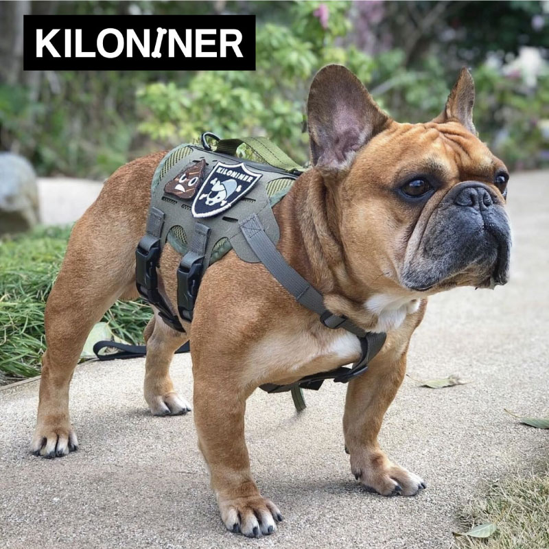 50 Off Kiloniner キロナイナー ドッグ ハーネス Sサイズ M4 Tactical Molle Vest Laser Dog 犬用 ハーネス キャンプ アウトドア 柴犬 コーギー フレンチブルドッグ レンジャーグリーン 人気ブランドを Lexusoman Com
