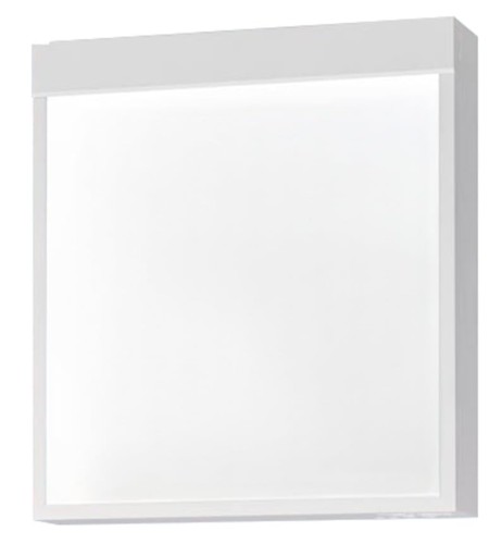 パナソニック(Panasonic) 天井直付型・壁直付型・天井吊下型 LED誘導灯 片面型・一般型（20分間） B級・BH形(20A形) FA40312CLE1