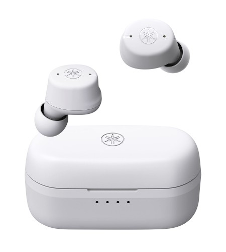 (未使用･未開封品)ソニー イヤホン MDR-EX255AP : カナル型 リモコン・マイク付き ホワイト MDR-EX255AP W Amazon.co.jp: ソニー(SONY) イヤホン MDR-EX255AP : カナル型