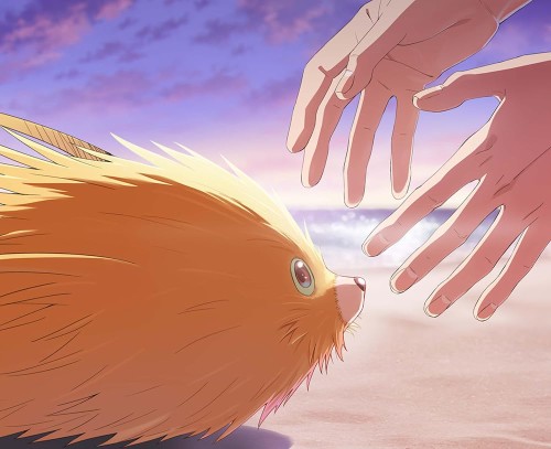 ふれる。(完全生産版) [Blu-ray]