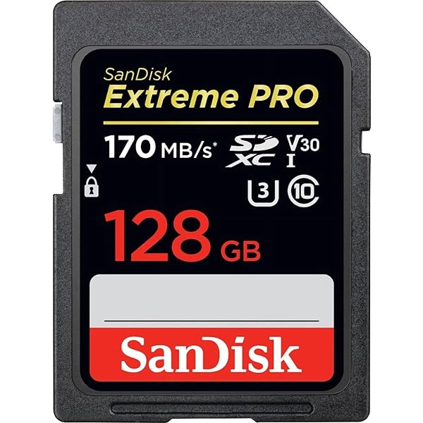 SanDisk サンディスク Extreme Pro SDXC 128GB カード UHS-I 超高速U3 V30 Class10 4K対応［並行輸入品］｜palsamyuk　店