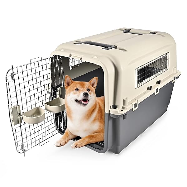 ペットキャリー ペット航空ケース、中大型犬用ハードクレート ペットキャリーケースキャスター付き取っ手付き、航空輸送対応ドッグケージ、通気性 換気 さびない 組立簡単 洗えるド キャンピングキャリポータ 外寸: 幅80&times;奥46&times;高63cm 重量(約):｜palsamyuk　店