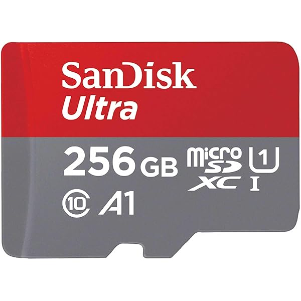 【 サンディスク 正規品 】 SanDisk microSD カード 256GB UHS-I U1 Class10 Nintendo Switch メーカー動作確認済 Ultra SDSQUAC-256G-GH3MA 簡易デザインパッケージ 10年間|palsamyuk 店