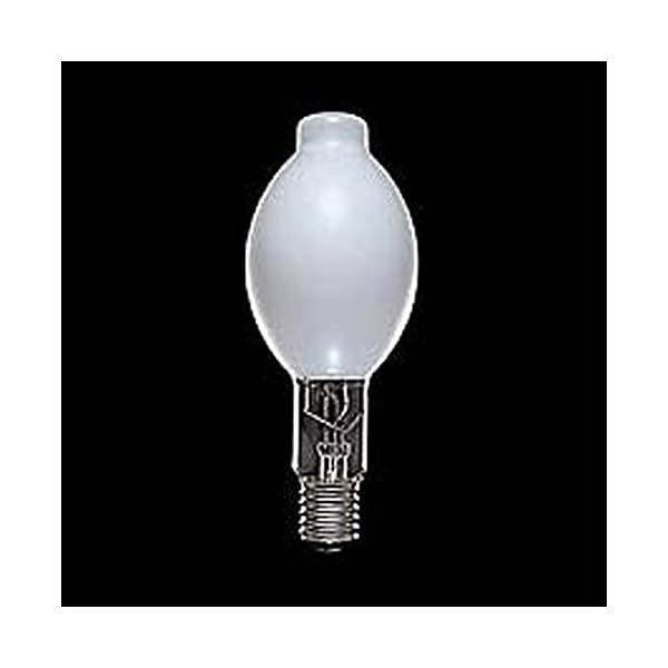 楽天市場】東芝 蛍光水銀ランプ（水銀灯） 蛍光形 400W E39口金