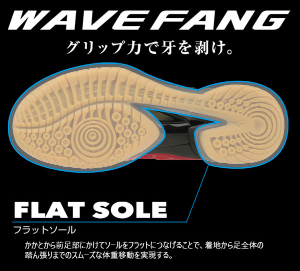 在庫限り メンズ レディース ウエーブファングnx Wave Fang バドミントンシューズ 3e幅 ミズノ Mizuno 71ga50w 国内最安値 Www Papermoney World Com