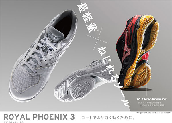 ポイント10倍 メンズ レディース ロイヤルフェニックス3 バレーボールシューズ リベロ セッター 2e幅 ミズノ Mizuno V1ga30 楽天 Retkebolesti Com