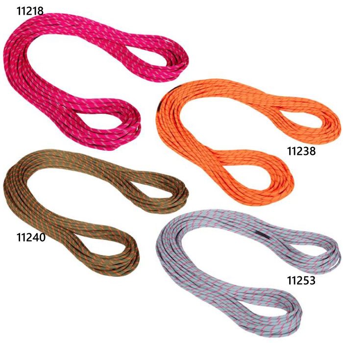 SEAL限定商品 マムート ロープ Mammut Gym Classic Rope 9.9ミリ nascd