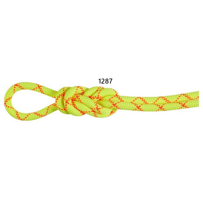 70m マムート メンズ レディース 9.5 アルパイン 中核グループ 防護 素っ気ない 縄索 70m 山登り クライミング 縄索 貨物輸送無料 Mammut 2010-05460