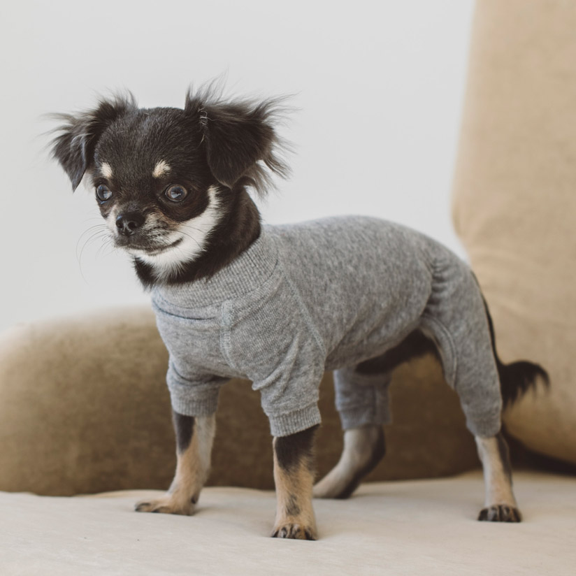 楽天市場】【犬 服 洋服】マイクロフリースボディウォーマー L