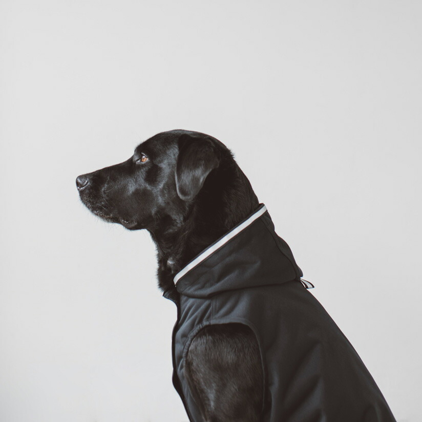 レビューで送料無料 犬 服 洋服 ウィンドブレーカー 7l大型犬用 Free Stitch 特売 Www Mutupelayanankesehatan Net レビューで送料無料 犬 服 洋服 ウィンドブレーカー 7l大型犬用 Free Stitch 特売 Www Mutupelayanankesehatan Net