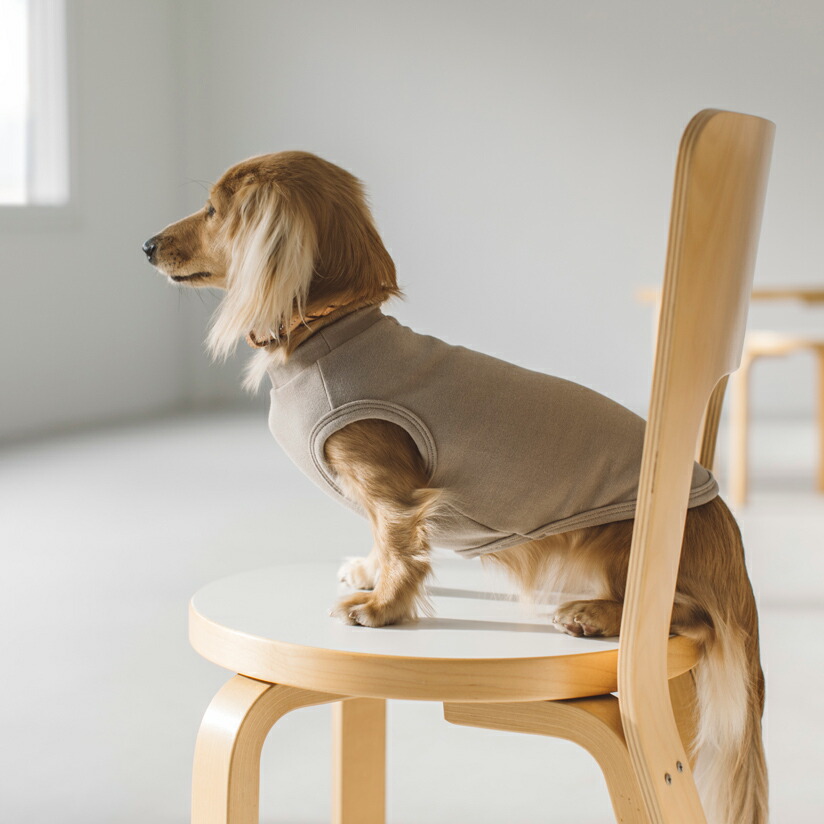 犬 服 ドッグウェア ストレッチタンク M L Ll 犬服 おしゃれ タンク 高級 シンプル いぬ 洋服 ウェア ドッグ 日本製 Massage Mit Herz De