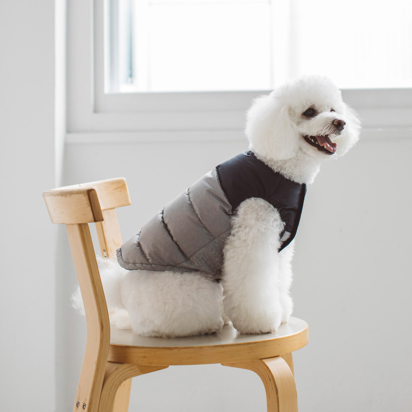 犬 ウェア 服 洋服 ダックダウンツートンジャケット S Mおしゃれ シンプル 高級 いぬ 犬服 犬服 ドッグウェア 犬 ドッグ ダウン 日本 かわいい ウェア いぬ 国内 国産 ファッション 冬 ジャケット 旅行 ペット カフェ 洋服 お出掛け 犬用 子犬