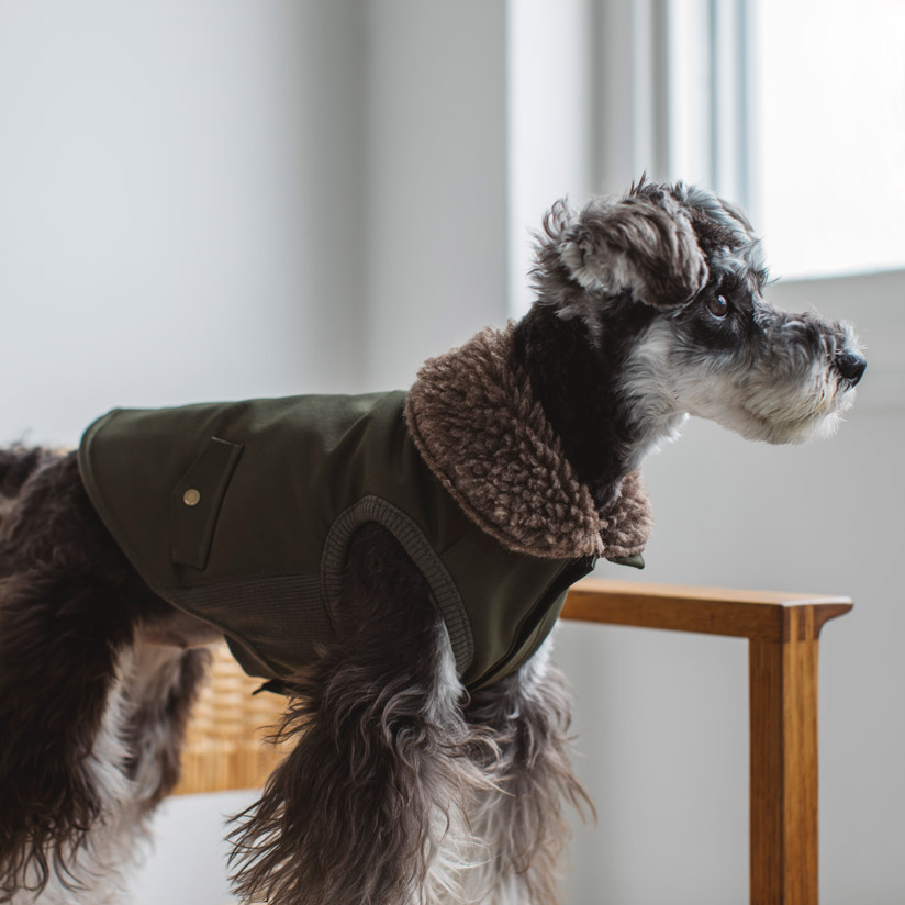 犬 服 洋服 フィールドボディウォーマー S Mおしゃれ シンプル 高級 犬服 ドッグウェア 犬 ドッグ ウェア 日本 国内 国産 冬 ダウン ジャケット ファッション いぬ 子犬 犬用 かわいい 散歩 お出掛け 旅行 ペット 洋服 カフェ