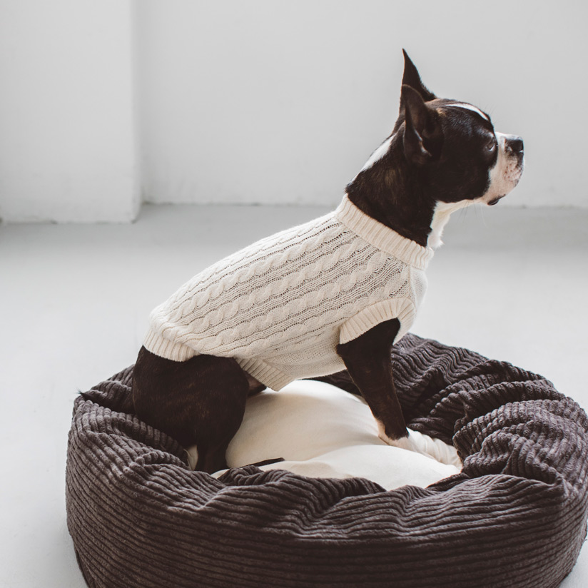 飼い犬 服 御召 オーガニッククルーネック編物 M L Ll洋犬着物 犬服 犬 服 ドッグ ウェア ペット 狆ころ シャツ ニット 香ばしい オーガニック やすい 国産 日本 おしゃれ おでかけ 航海 お揃 飛び切り 犬使い処 洋服 Opto Bi Be