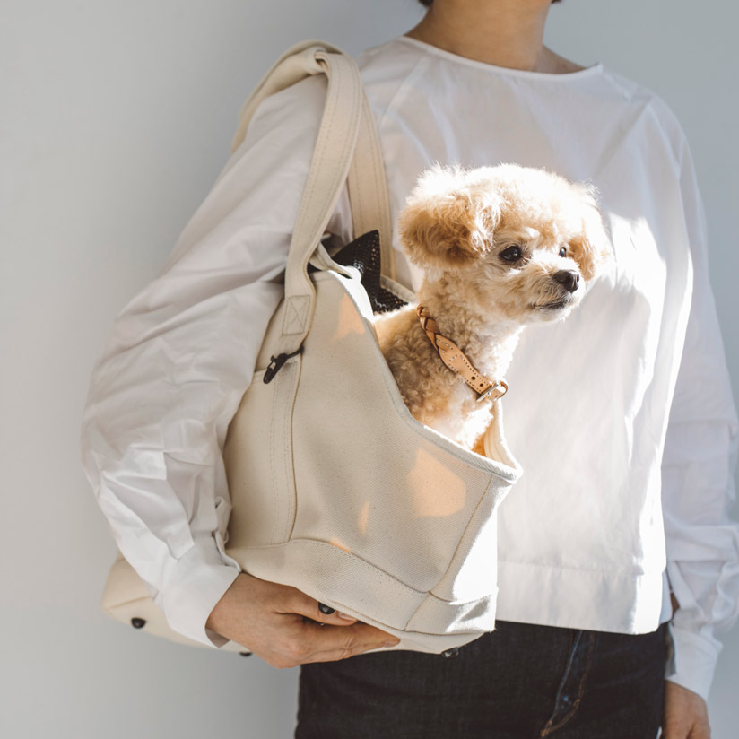 犬 キャリー スクエア トート キャンバス ソリッド S サイズ犬 ドッグ いぬ ペット ペット用 動物 犬用バッグ キャリー バッグ キャリーバッグ かばん 鞄 おしゃれ シンプル 日本製 洗える 洗濯 病院 通院 トイプードル チワワ Napierprison Com 犬 キャリー スクエア トート キャンバス ソリッド S サイズ犬 ドッグ いぬ ペット ペット用 動物 犬用バッグ キャリー バッグ キャリーバッグ かばん 鞄 おしゃれ シンプル 日本製 洗える 洗濯 病院 通院 トイプードル チワワ Napierprison Com