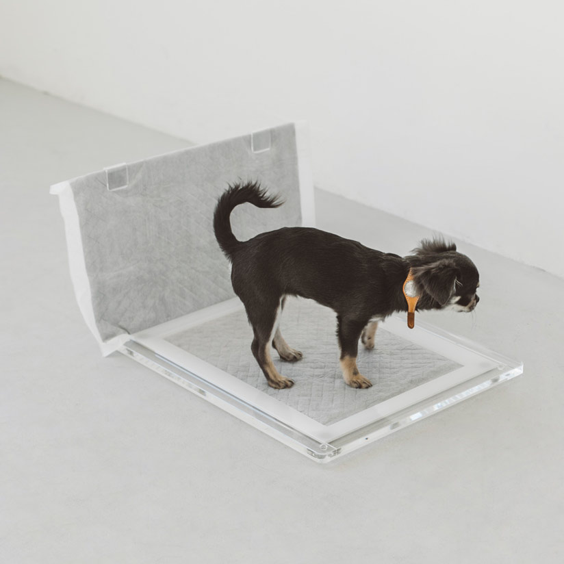 犬 トイレ トイレトレー 室内トイレ 国産 囲い 足上げ 水洗い オス 飛び散り 防止 犬 小型犬 中型犬 日本産 犬 トイレ トレー トレーニングペットトレー レギュラー いぬ オリジナル アクリル トイレ トレイ サイドウォール S ショート 犬