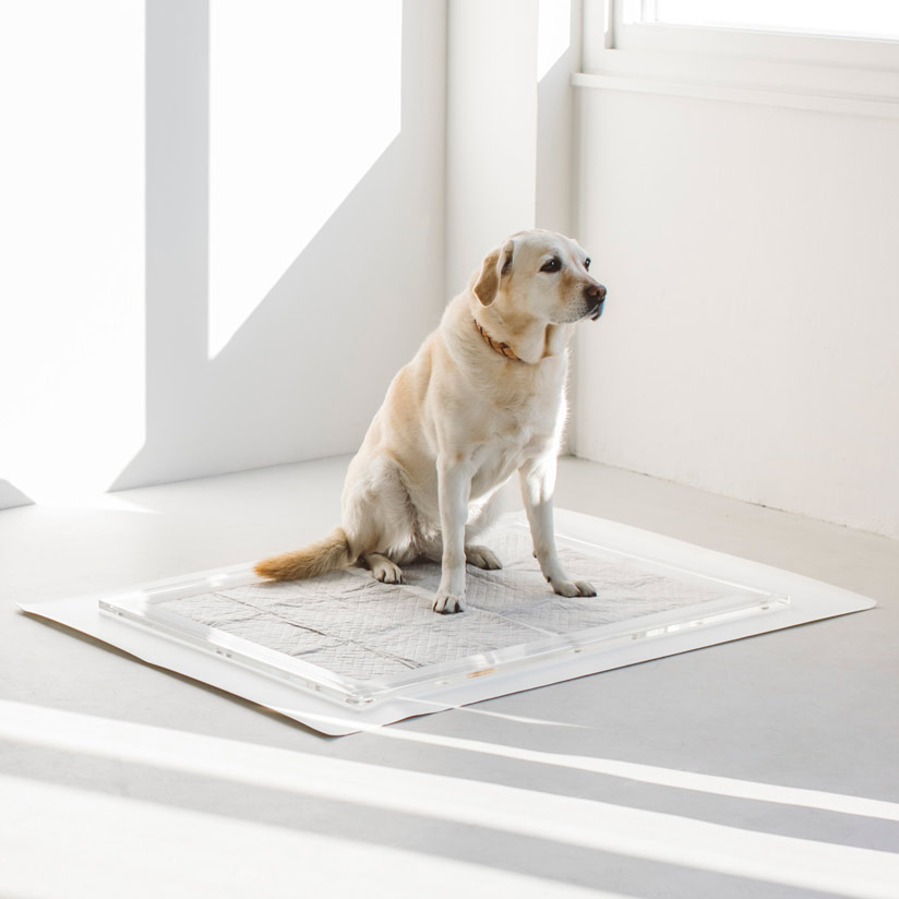 アワーズ　犬用トイレ　S 楽天市場】【返品可能】【選べるS.M.Lサイズ】【選べる11色