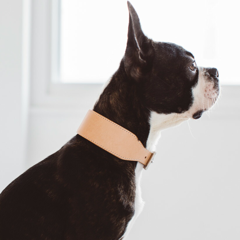 【犬 首輪】オリジナル ヌメ カラー ワイド L サイズ　 革　皮　おしゃれ　シンプル　かわいい　犬　ドッグ　首輪　カラー　いぬ　イヌ　ワイドタイプ　シュナ　シュナウザー　イタグレ　イタリアングレーハウンド　日本製　柔らかい　幅広　ペット　動物　くびわ