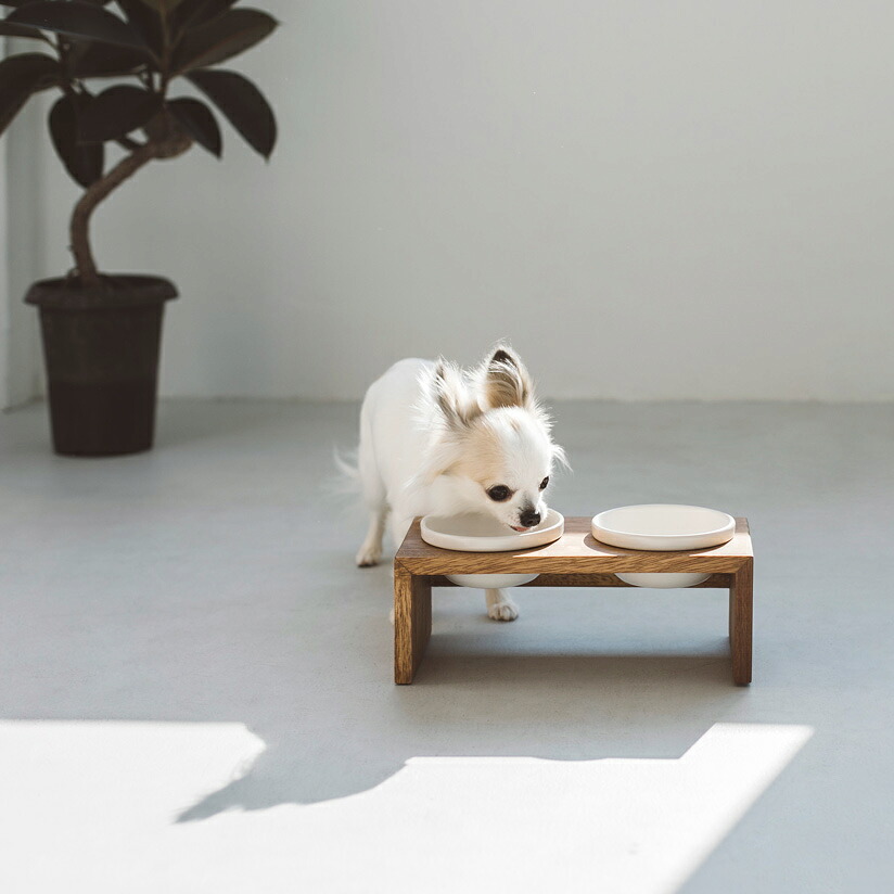 MESHIDAI GOHAN HEIGHT SS ダブル　REPLUS リプラス　メシダイ　ゴハン ハイト　犬　ドッグ　フードボウル　foodbowl　dog　おしゃれ　陶器　木製