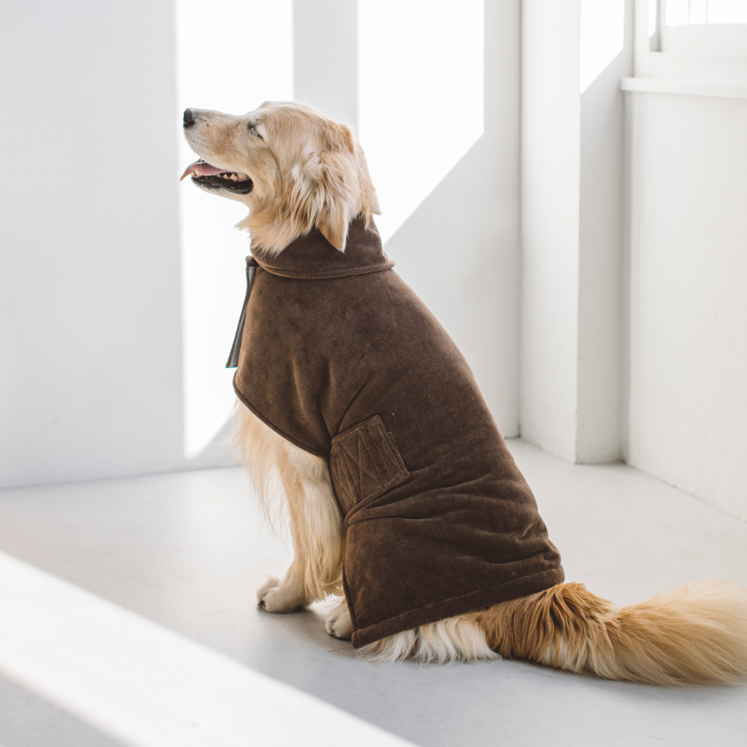 【犬 服】【ドッグウェア】コットンダブルフェイス バスローブ 6L / 7L犬 犬用 バスローブ 西洋手ぬぐい 小型犬 中型犬 大型犬 今めかしい お風呂 水遊び シャワー アウトドア 愛玩動物装置 旅する