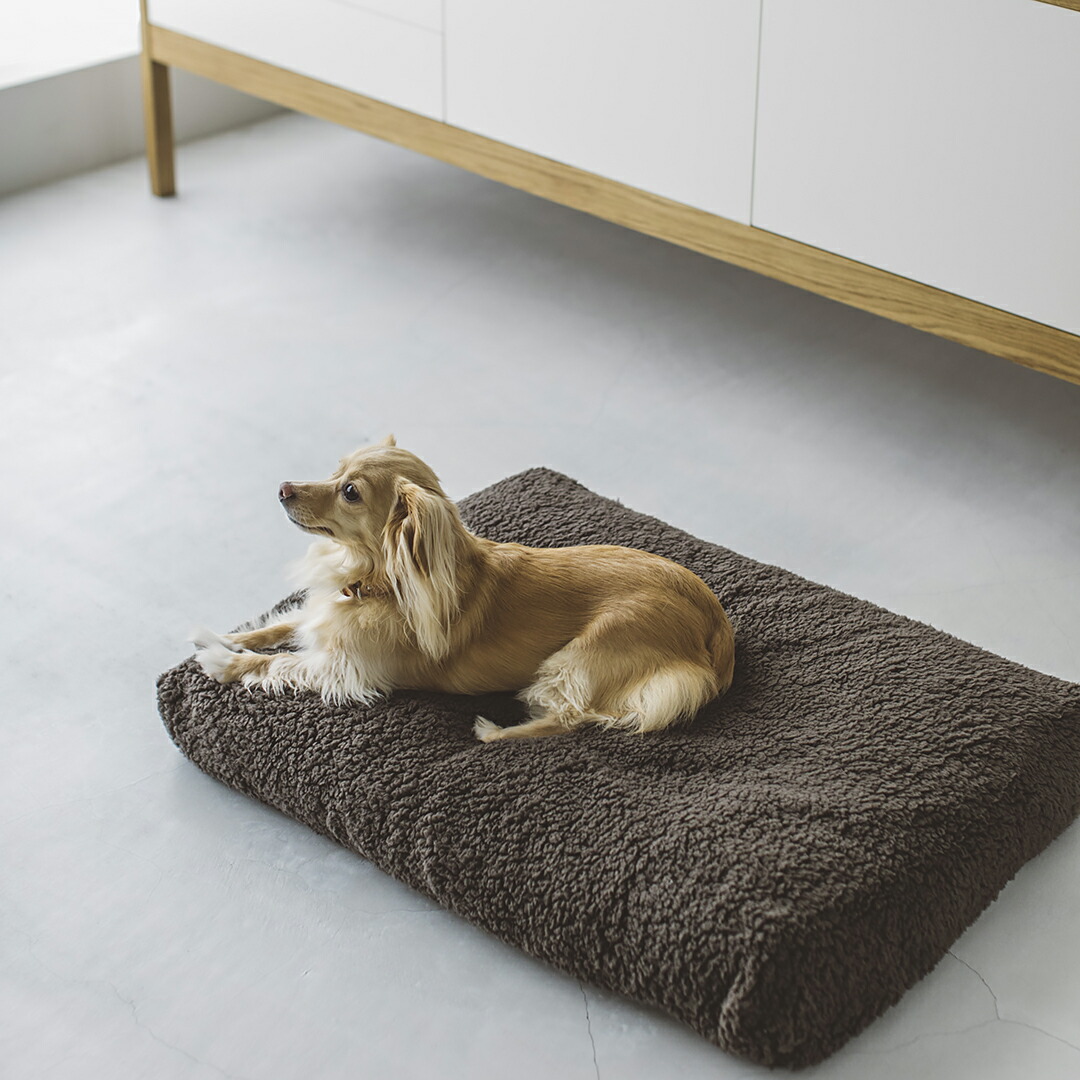 再×14入荷 pecolo Pet Bed ペットベッド ペコロ | www.birbapet.it