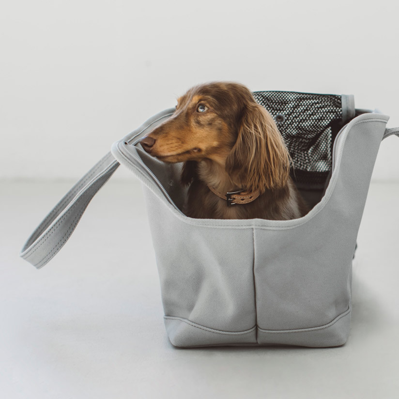 犬 猫 キャリーケース 格安激安 キャリーバッグ おしゃれ 中型犬 小型犬 シンプル 帰省 電車 防災 帆布 軽量 多頭 Dog キャバリア ソリッド ドッグ 仔犬 サイズ トート プードル いぬ M おでかけ 送料無料スクエア キャンバス 子犬 犬 猫 キャリーケース 格安激安 キャリーバッグ おしゃれ 中型犬 小型犬 シンプル 帰省 電車 防災 帆布 軽量 多頭 Dog キャバリア ソリッド ドッグ 仔犬 サイズ トート プードル いぬ M おでかけ 送料無料スクエア キャンバス 子犬