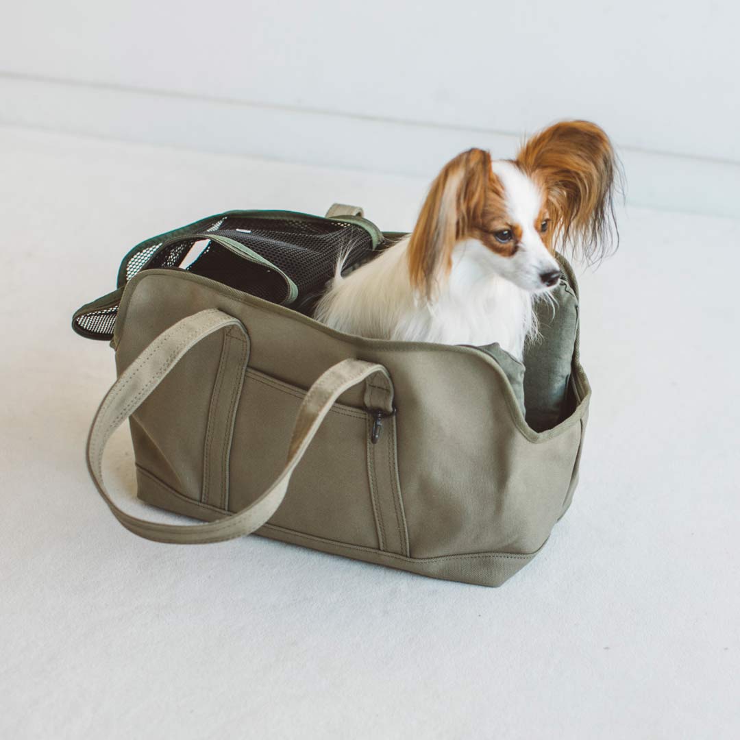 犬 猫 キャリーケース 格安激安 キャリーバッグ おしゃれ 中型犬 小型犬 シンプル 帰省 電車 防災 帆布 軽量 多頭 Dog キャバリア ソリッド ドッグ 仔犬 サイズ トート プードル いぬ M おでかけ 送料無料スクエア キャンバス 子犬 犬 猫 キャリーケース 格安激安 キャリーバッグ おしゃれ 中型犬 小型犬 シンプル 帰省 電車 防災 帆布 軽量 多頭 Dog キャバリア ソリッド ドッグ 仔犬 サイズ トート プードル いぬ M おでかけ 送料無料スクエア キャンバス 子犬